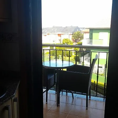 Oasis *